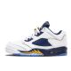 Jordan 5 Retro Low Dunk From Above (GS)