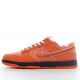 Nike SB Dunk Low Concepts Orange Lobster (OG)